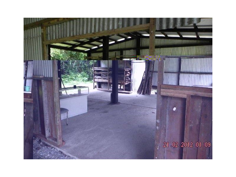 2824 Mossman Daintree Road, Daintree QLD 4873