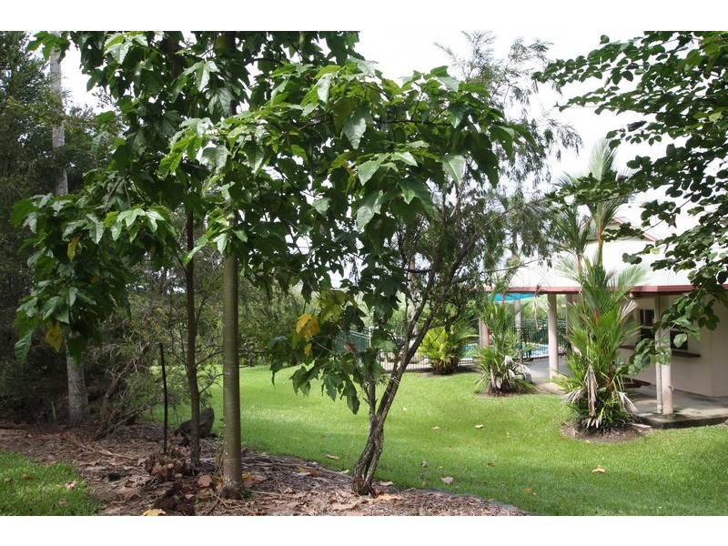 Lot 21 Ocean View Road, Port Douglas QLD 4877