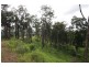 Lot 3 Mossman Daintree Rd, Wonga QLD 4873