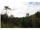 Lot 3 Mossman Daintree Rd, Wonga QLD 4873