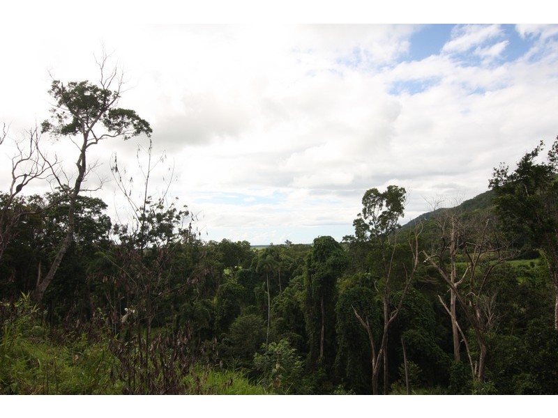 Lot 3 Mossman Daintree Rd, Wonga QLD 4873