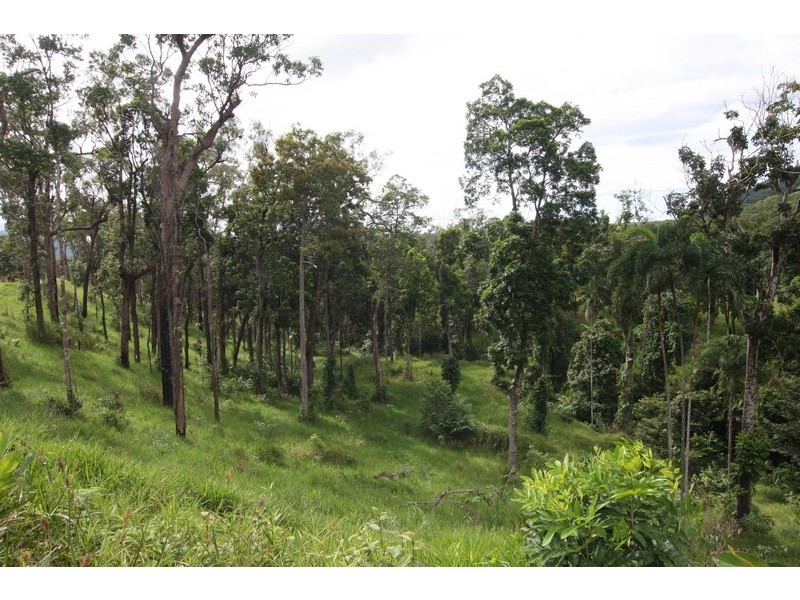 Lot 3 Mossman Daintree Rd, Wonga QLD 4873