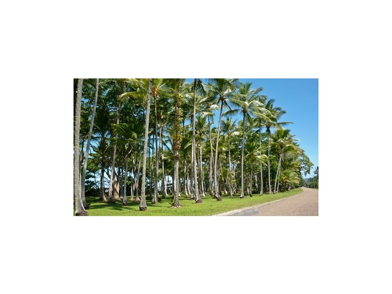 21 Bougainvillea Street, Cooya Beach QLD 4873