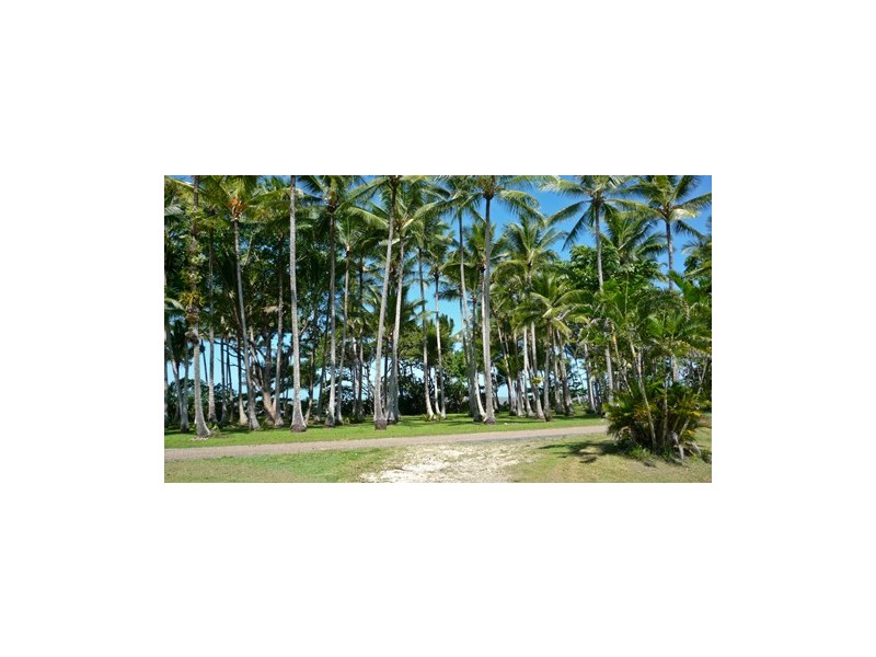 21 Bougainvillea Street, Cooya Beach QLD 4873