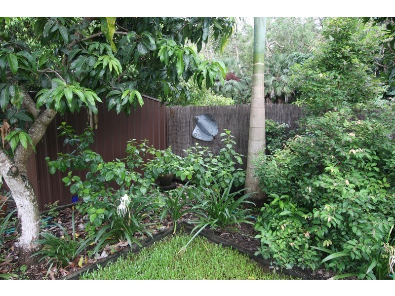 12 Birdwing Street, Port Douglas QLD 4877