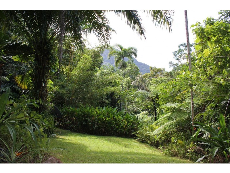 Lot 25 Ironbark Road DIWAN, Daintree QLD 4873