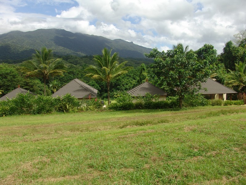 1 Syndicate Road, Port Douglas QLD 4877