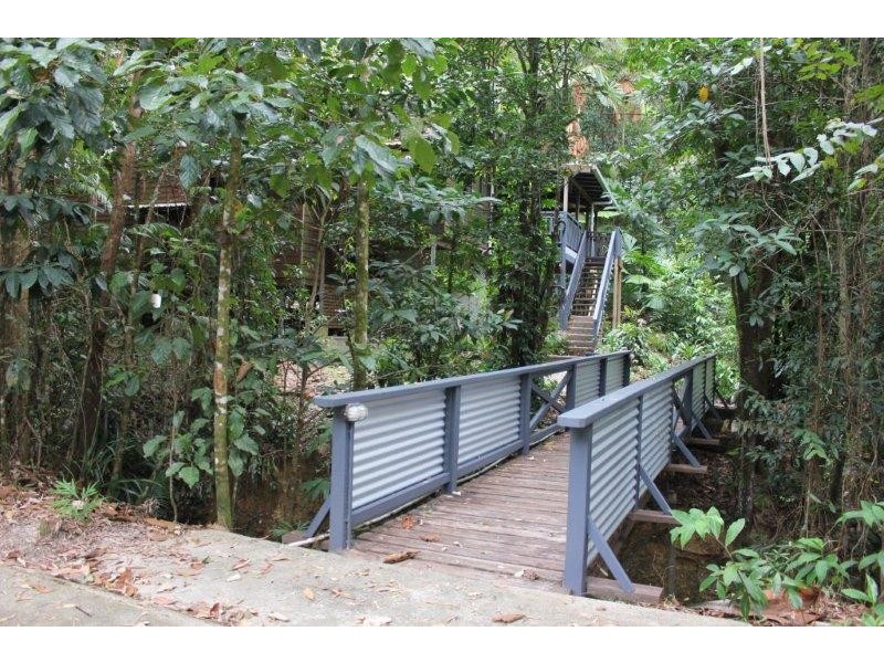 Lot 13 Thornton Peak Drive FOREST CREEK, Daintree QLD 4873