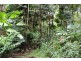 Lot 13 Thornton Peak Drive FOREST CREEK, Daintree QLD 4873