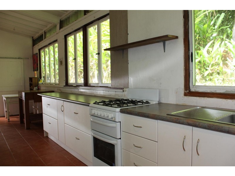 429 Cape Tribulation Road COW BAY, Daintree QLD 4873