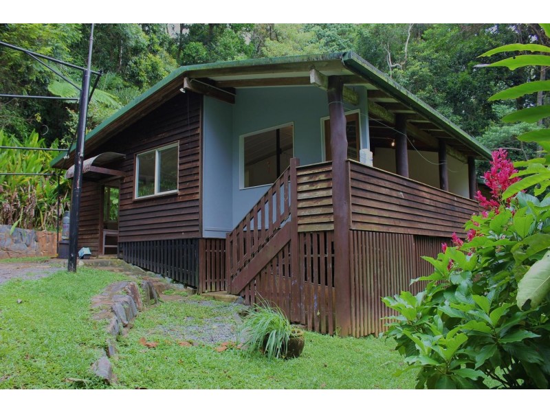 429 Cape Tribulation Road COW BAY, Daintree QLD 4873
