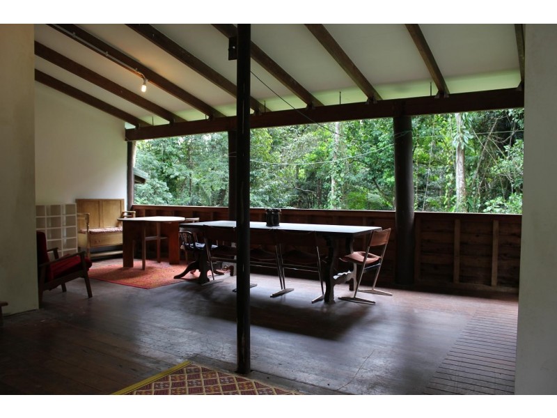 429 Cape Tribulation Road COW BAY, Daintree QLD 4873