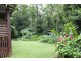 429 Cape Tribulation Road COW BAY, Daintree QLD 4873