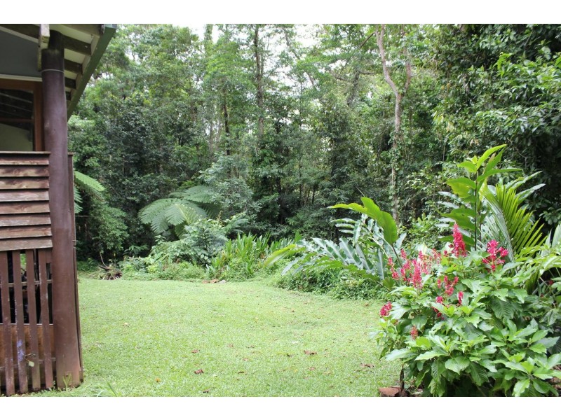 429 Cape Tribulation Road COW BAY, Daintree QLD 4873