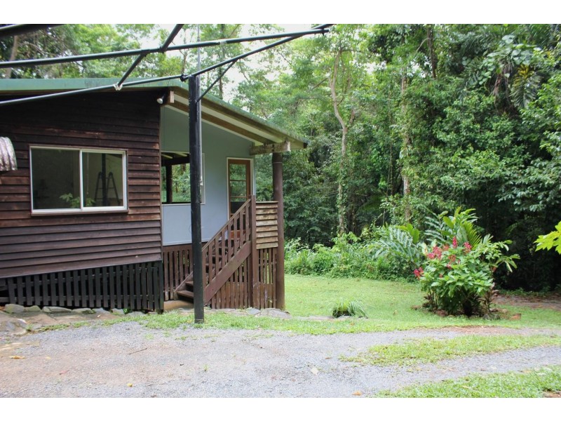 429 Cape Tribulation Road COW BAY, Daintree QLD 4873