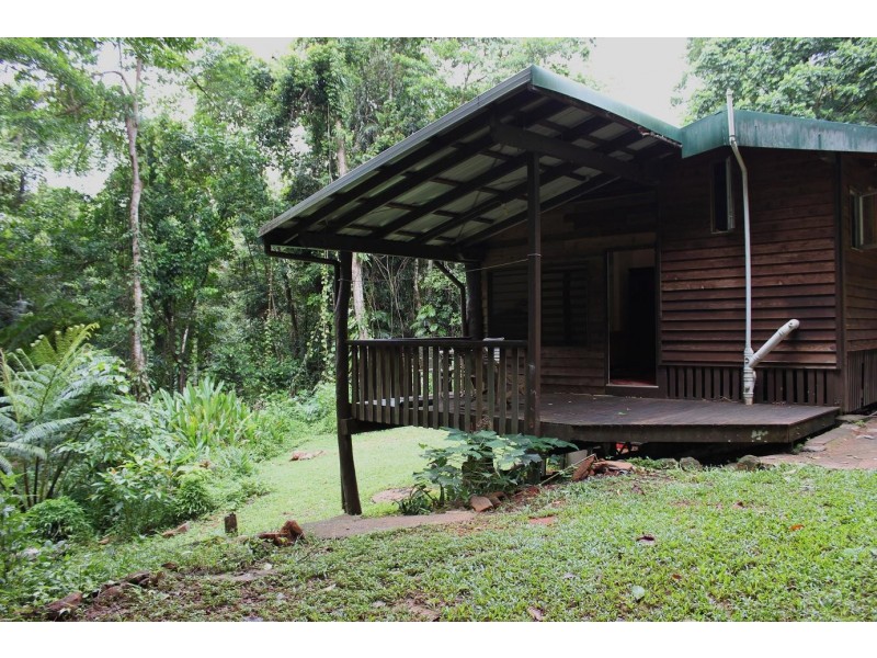 429 Cape Tribulation Road COW BAY, Daintree QLD 4873