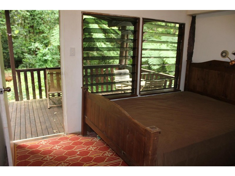 429 Cape Tribulation Road COW BAY, Daintree QLD 4873