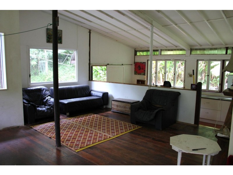 429 Cape Tribulation Road COW BAY, Daintree QLD 4873