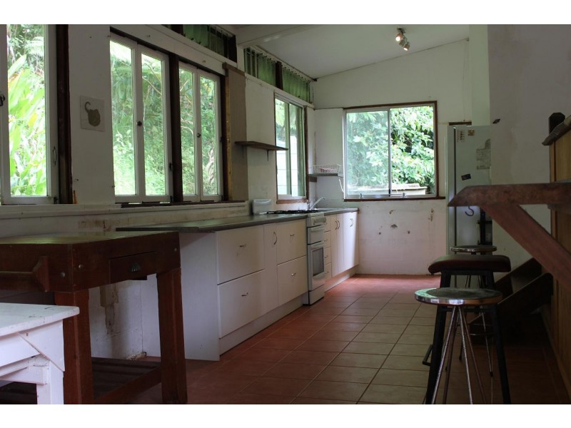 429 Cape Tribulation Road COW BAY, Daintree QLD 4873