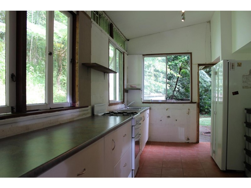 429 Cape Tribulation Road COW BAY, Daintree QLD 4873