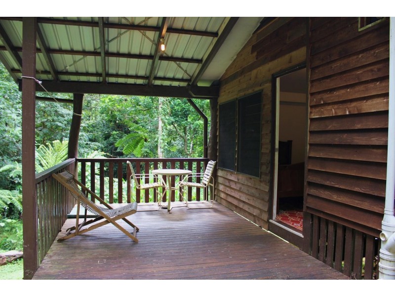 429 Cape Tribulation Road COW BAY, Daintree QLD 4873