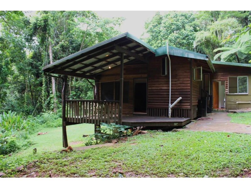 429 Cape Tribulation Road COW BAY, Daintree QLD 4873