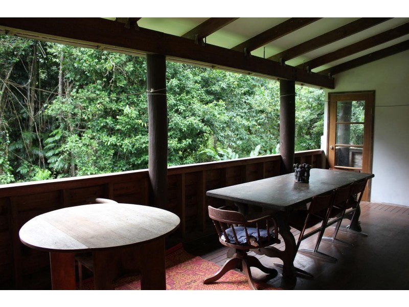 429 Cape Tribulation Road COW BAY, Daintree QLD 4873