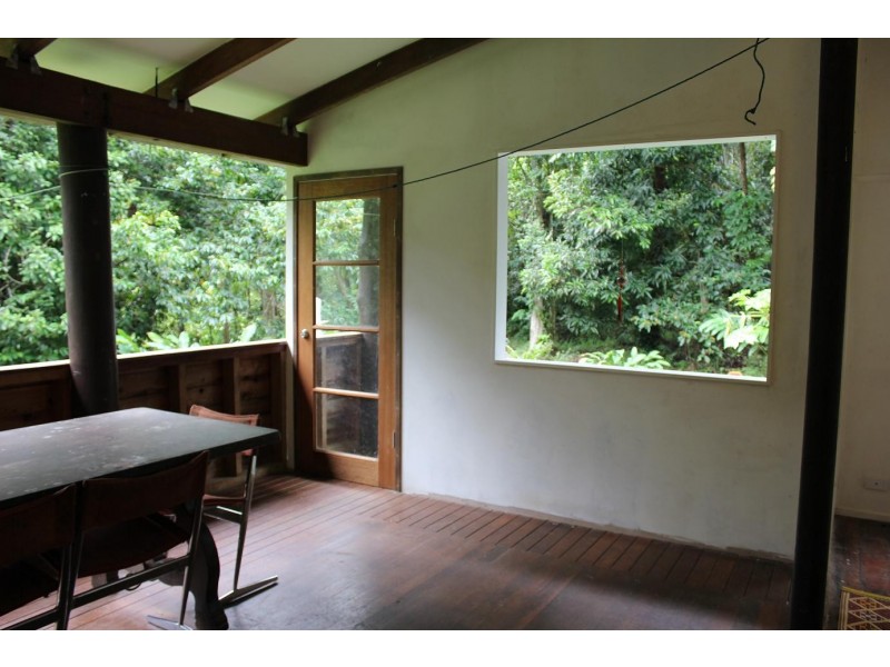 429 Cape Tribulation Road COW BAY, Daintree QLD 4873