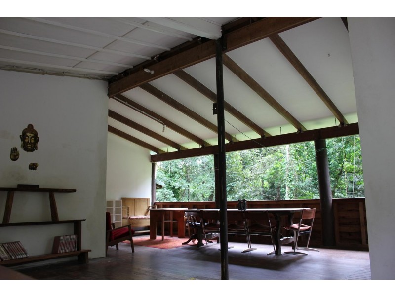 429 Cape Tribulation Road COW BAY, Daintree QLD 4873