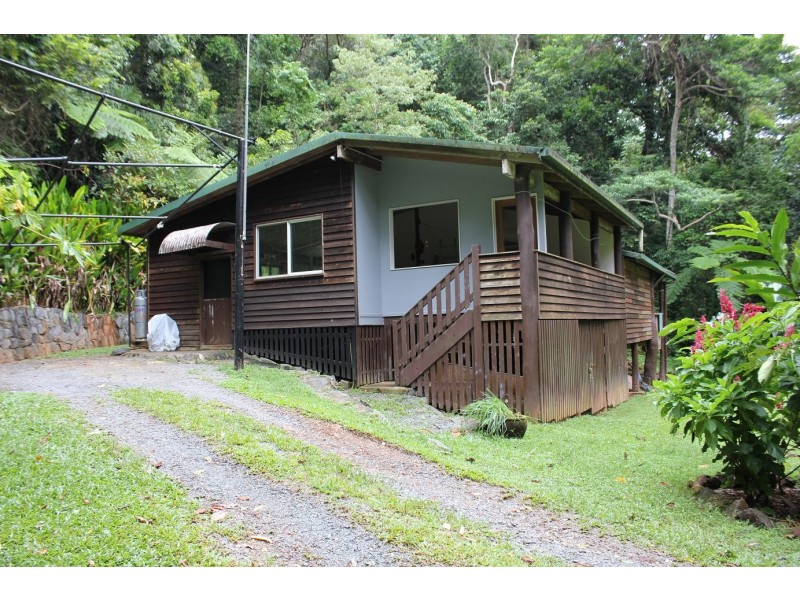 429 Cape Tribulation Road COW BAY, Daintree QLD 4873