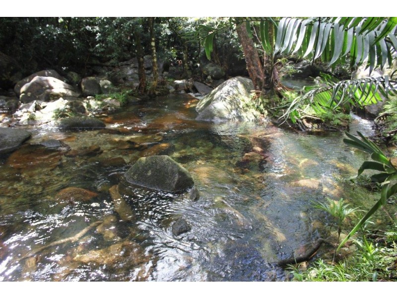 Lot 193 Stonewood Road DIWAN, Daintree QLD 4873