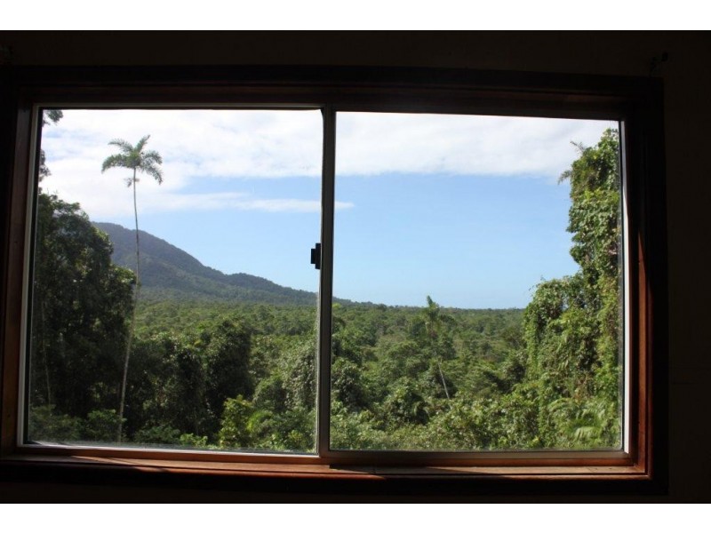 Lot 193 Stonewood Road DIWAN, Daintree QLD 4873