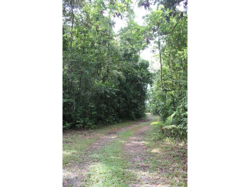 Lot 193 Stonewood Road DIWAN, Daintree QLD 4873