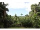 Lot 193 Stonewood Road DIWAN, Daintree QLD 4873