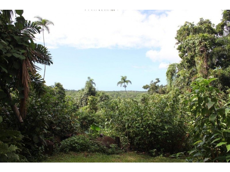 Lot 193 Stonewood Road DIWAN, Daintree QLD 4873