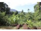 Lot 193 Stonewood Road DIWAN, Daintree QLD 4873