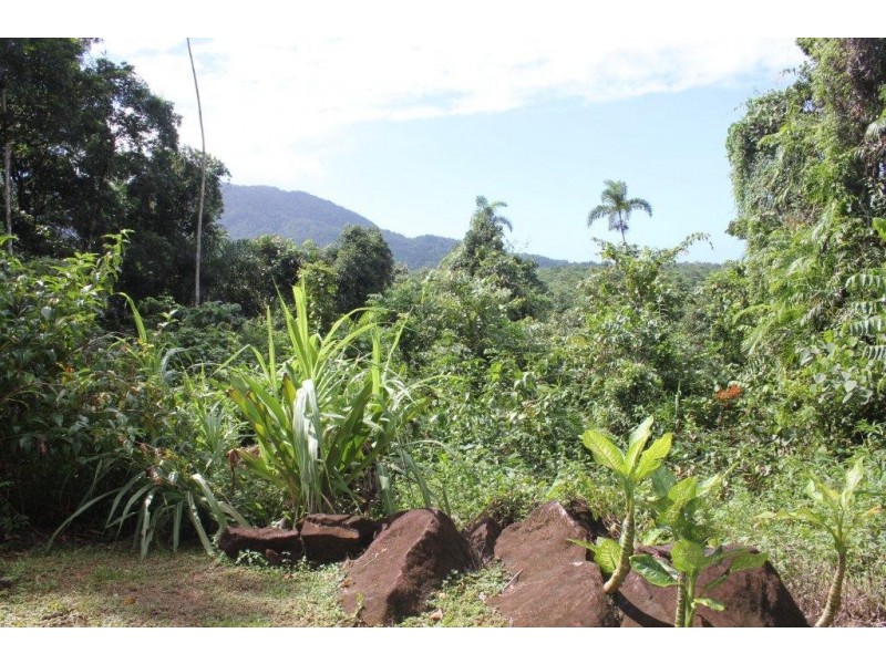 Lot 193 Stonewood Road DIWAN, Daintree QLD 4873
