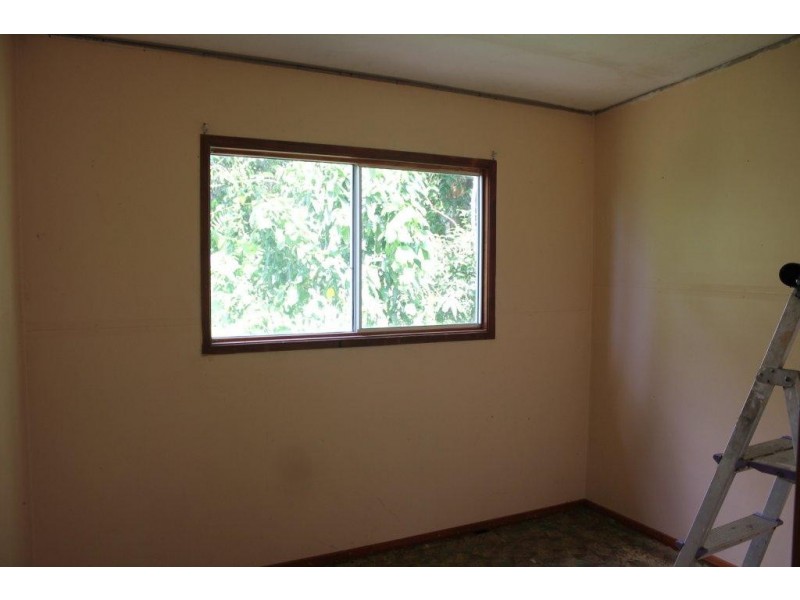 Lot 193 Stonewood Road DIWAN, Daintree QLD 4873