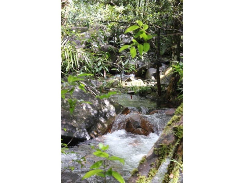 Lot 193 Stonewood Road DIWAN, Daintree QLD 4873
