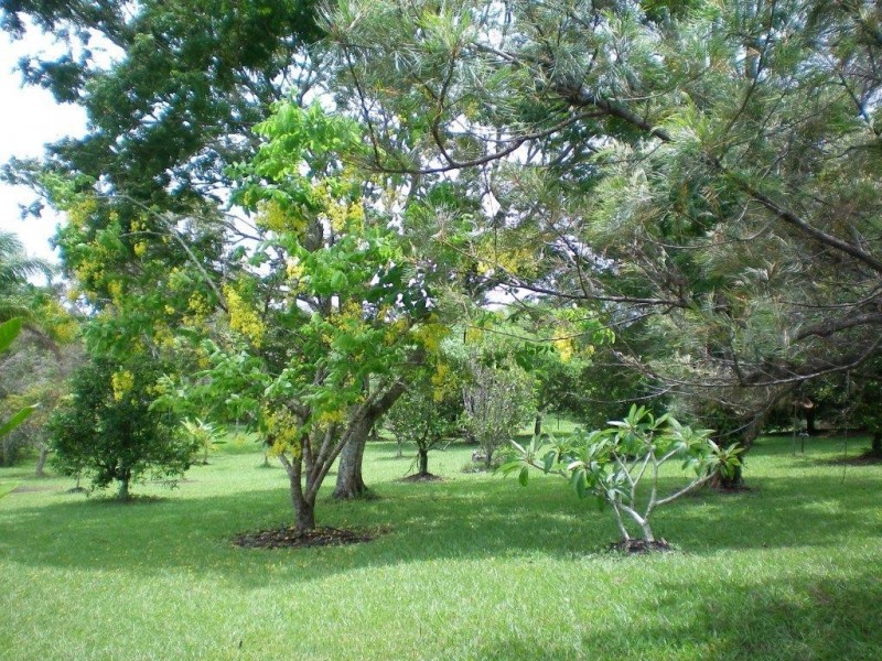 2116 Mossman-Mount Molloy Road, Julatten QLD 4871