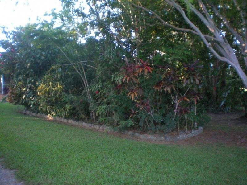 2116 Mossman-Mount Molloy Road, Julatten QLD 4871