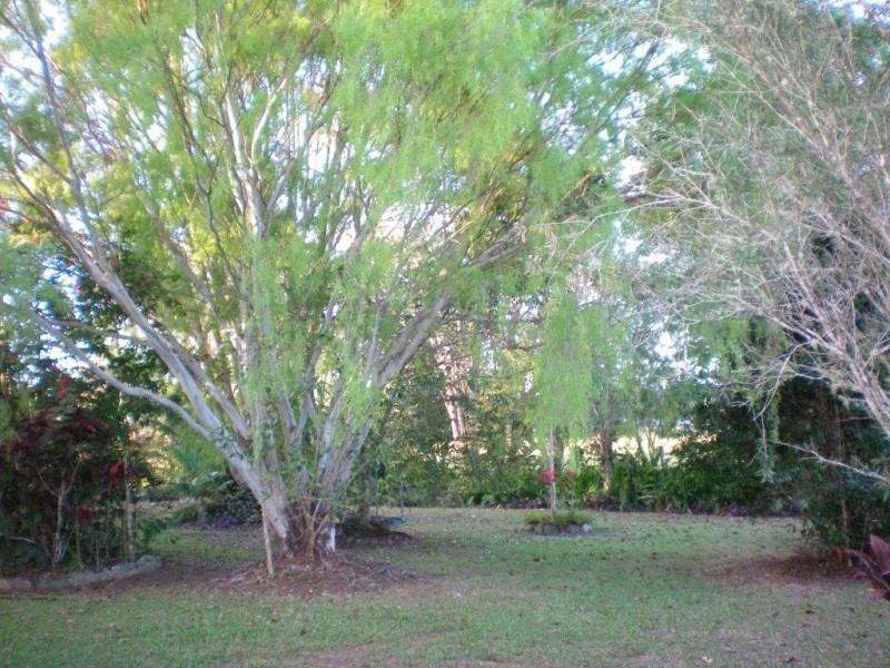 2116 Mossman-Mount Molloy Road, Julatten QLD 4871