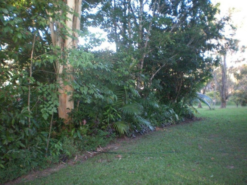 2116 Mossman-Mount Molloy Road, Julatten QLD 4871