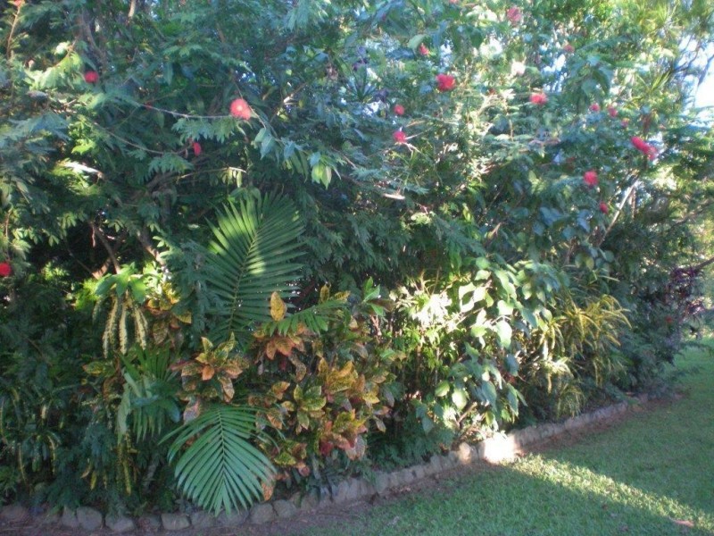 2116 Mossman-Mount Molloy Road, Julatten QLD 4871