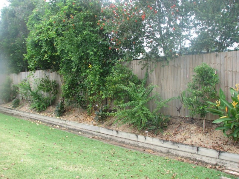 38 Riflebird Crescent, Mossman QLD 4873