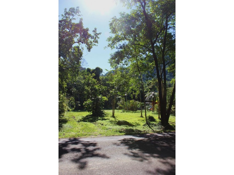 Lot 8 Cape Tribulation Road THORNTON BEACH, Daintree QLD 4873