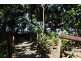 Lot 8 Cape Tribulation Road THORNTON BEACH, Daintree QLD 4873