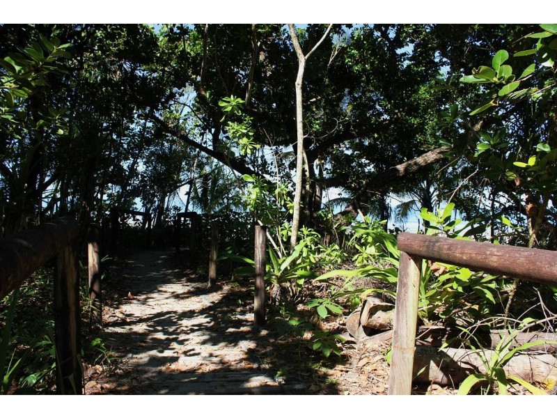 Lot 8 Cape Tribulation Road THORNTON BEACH, Daintree QLD 4873