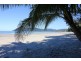 Lot 8 Cape Tribulation Road THORNTON BEACH, Daintree QLD 4873