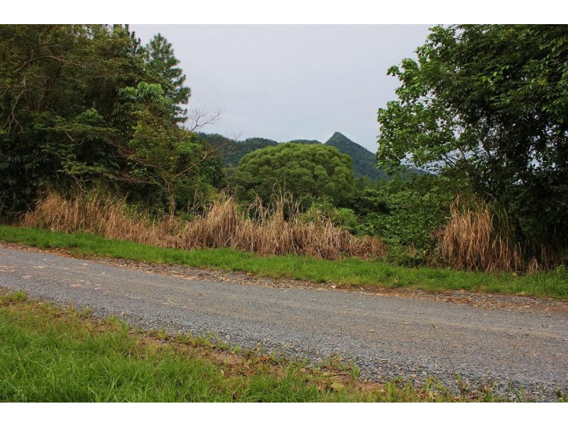 Lot 19 George Road FOREST CREEK, Daintree QLD 4873